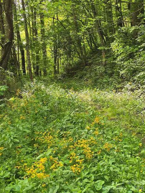 99999 Roaring Fork Rd, Mars Hill, NC 28754 photo 10