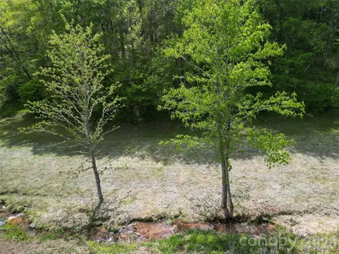 99999 Roaring Fork Rd, Mars Hill, NC 28754 photo 11