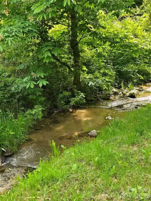 99999 Roaring Fork Rd, Mars Hill, NC 28754 photo 5