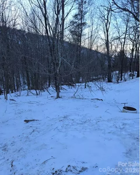 103 Snowplow Ln, Beech Mountain, NC 28604 photo 2
