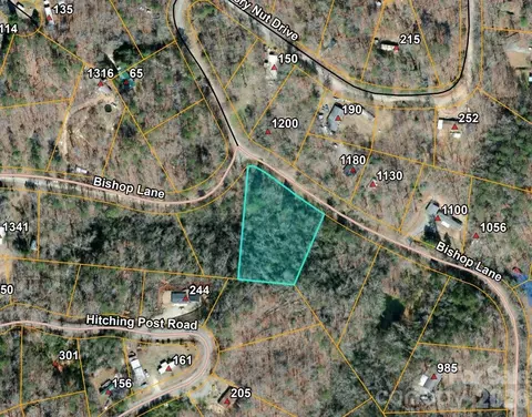 0 Bishop Ln, Mill Spring, NC 28756 photo 5