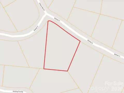 0 Bishop Ln, Mill Spring, NC 28756 photo 4