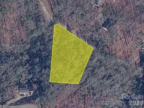 0 Bishop Ln, Mill Spring, NC 28756