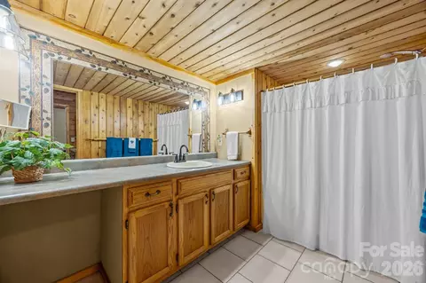 Bath - 63 Chestnut Forest Rd, Fairview, NC 28730 photo 5 of 6