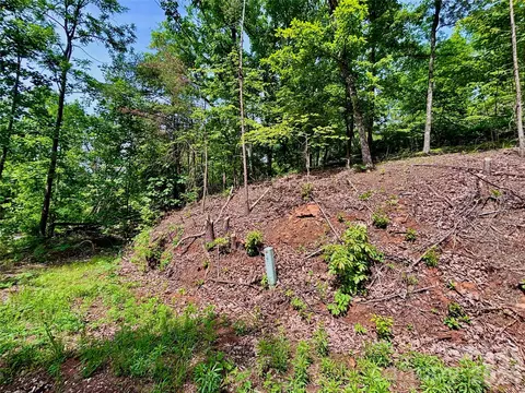 350 Springvalley Dr, Rutherfordton, NC 28139