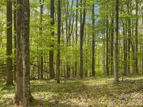 Us 23 Highway, Mars Hill, NC 28754