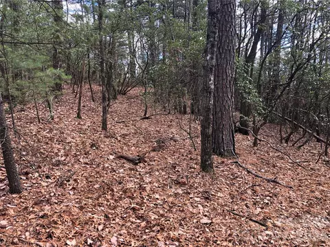 Bobcat Mountain 21 Road #21, Purlear, NC 28665 photo 17