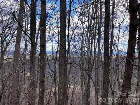 Bobcat Mountain 21 Road #21, Purlear, NC 28665 photo 3
