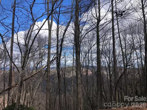 Bobcat Mountain 21 Road #21, Purlear, NC 28665 photo 5