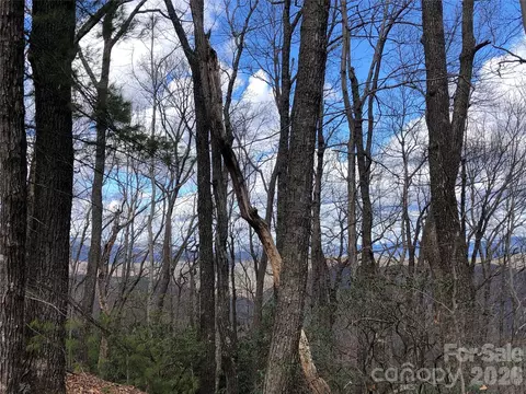 Bobcat Mountain 21 Road #21, Purlear, NC 28665 photo 15