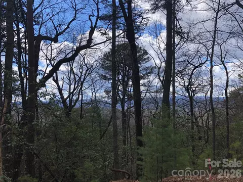 Bobcat Mountain 21 Road #21, Purlear, NC 28665 photo 12