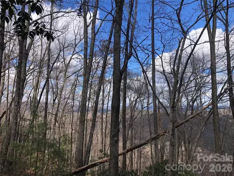 Bobcat Mountain 21 Road #21, Purlear, NC 28665 photo 4