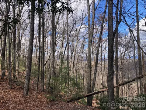 Bobcat Mountain 21 Road #21, Purlear, NC 28665