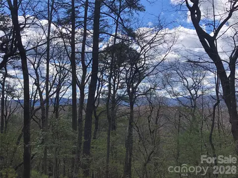 Bobcat Mountain 21 Road #21, Purlear, NC 28665 photo 13