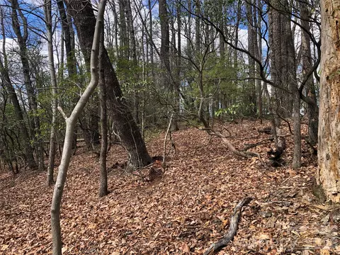 Bobcat Mountain 21 Road #21, Purlear, NC 28665 photo 14