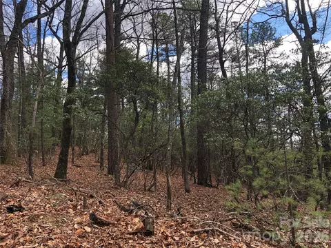 Bobcat Mountain 21 Road #21, Purlear, NC 28665 photo 2