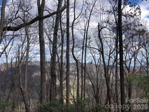 Bobcat Mountain 21 Road #21, Purlear, NC 28665 photo 16