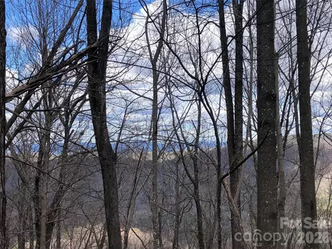 Bobcat Mountain 21 Road #21, Purlear, NC 28665 photo 11