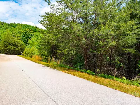 Birkdale Drive, Mill Spring, NC 28756