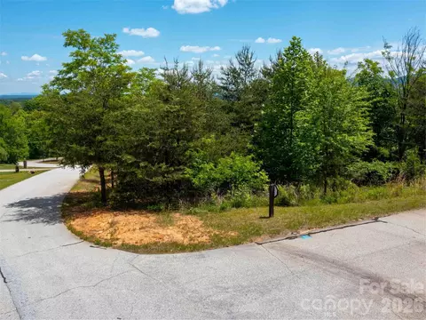 Birkdale Drive, Mill Spring, NC 28756 photo 2