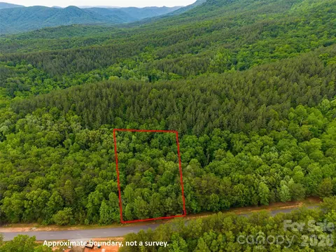 Deep Gap Farm W Road, Mill Spring, NC 28756 photo 7