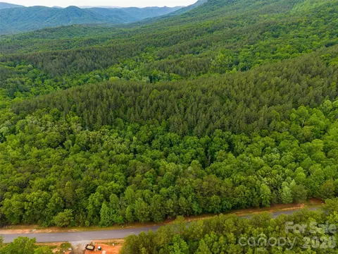 Deep Gap Farm W Road, Mill Spring, NC 28756 photo 8
