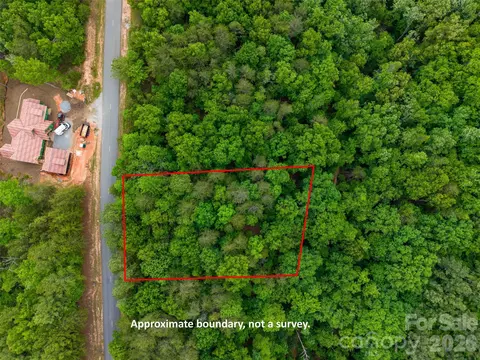 Deep Gap Farm W Road, Mill Spring, NC 28756 photo 5