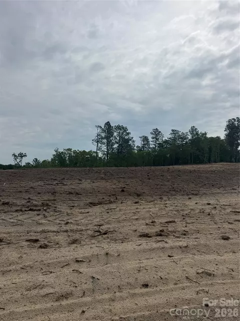 Bailey Sawmill Road, Ruby, SC 20741
