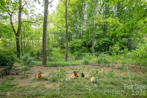 Other - 470 Cherryfield Loop, Brevard, NC 28712 photo 13 of 14