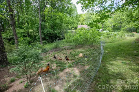 Other - 470 Cherryfield Loop, Brevard, NC 28712 photo 11 of 14