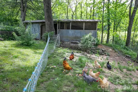 Other - 470 Cherryfield Loop, Brevard, NC 28712 photo 9 of 14