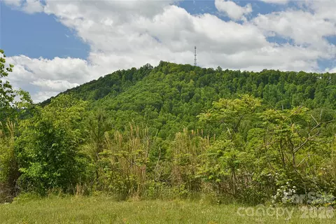 Other - 116 Kay Rd, Flat Rock, NC 28731 photo 10 of 13