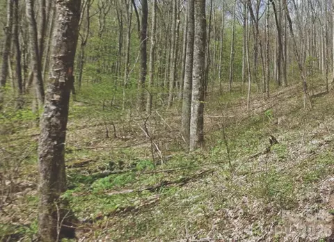 000 Heather Way, Waynesville, NC 28786