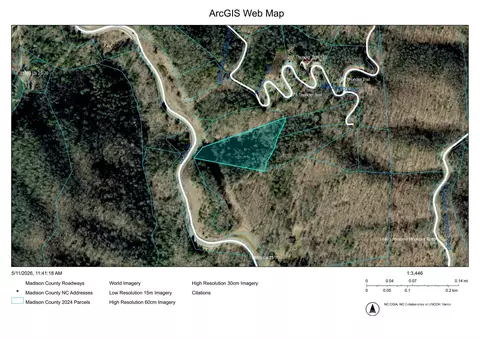 Bear River Lodge Trail, Marshall, NC 28753 photo 4