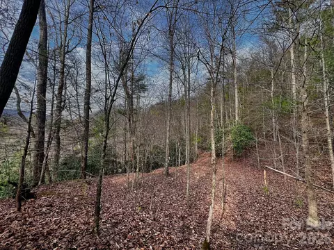 Bear River Lodge Trail, Marshall, NC 28753 photo 2