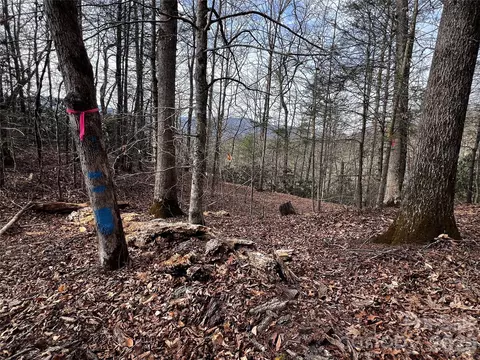 Bear River Lodge Trail, Marshall, NC 28753 photo 3