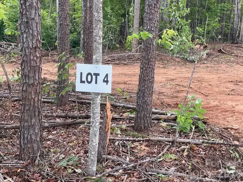 4 Vein Mountain Road #4, Nebo, NC 28761
