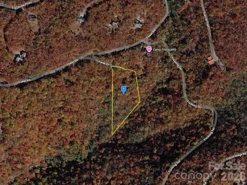1650 Tower Rd, Sapphire, NC 28774