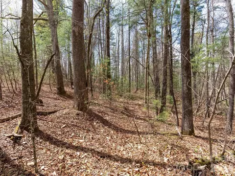 00 E Hilltop 13b Dr #13B, Saluda, NC 28773 photo 3