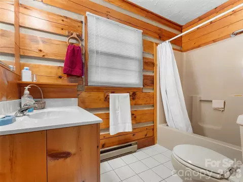 Bath - 178 Tablerock Dr, Saluda, NC 28773 photo 1 of 3