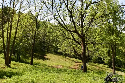 8200 Caney Fork Rd, Cullowhee, NC 28723 photo 8