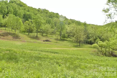 8200 Caney Fork Rd, Cullowhee, NC 28723 photo 2