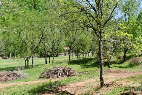 8200 Caney Fork Rd, Cullowhee, NC 28723 photo 7