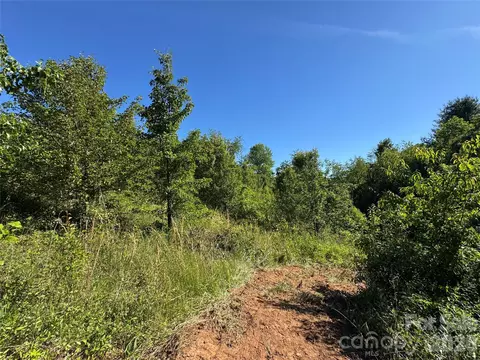 Duckett Road, Candler, NC 28715