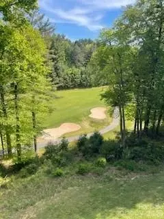 View/Area - 38 Beaus Valley Dr, Roaring Gap, NC 28668 photo 1 of 1