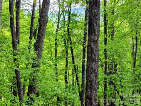 00 Hickory Springs 12 Rd #12, Burnsville, NC 28714