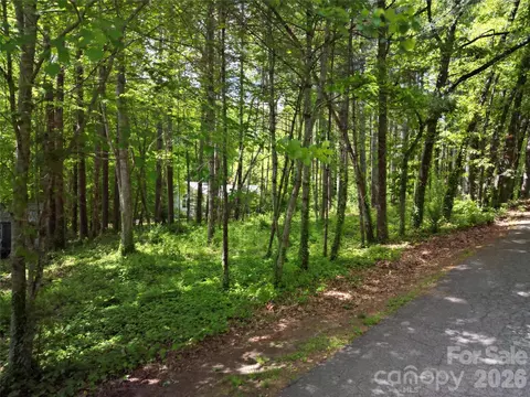 164 Country Ln, Brevard, NC 28712