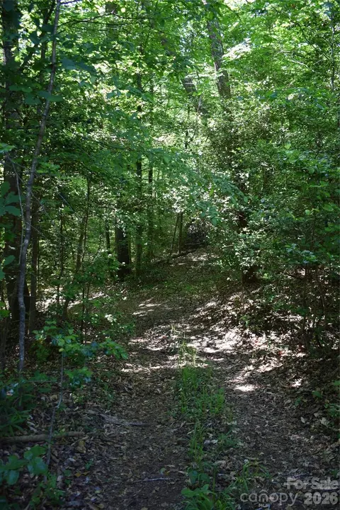 0 Floyd Blackwell Rd, Tryon, NC 28722 photo 2