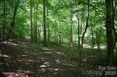 0 Floyd Blackwell Rd, Tryon, NC 28722 photo 16