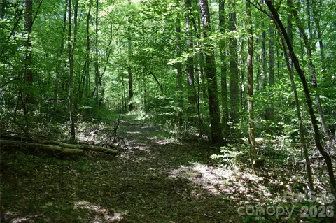 0 Floyd Blackwell Rd, Tryon, NC 28722 photo 20